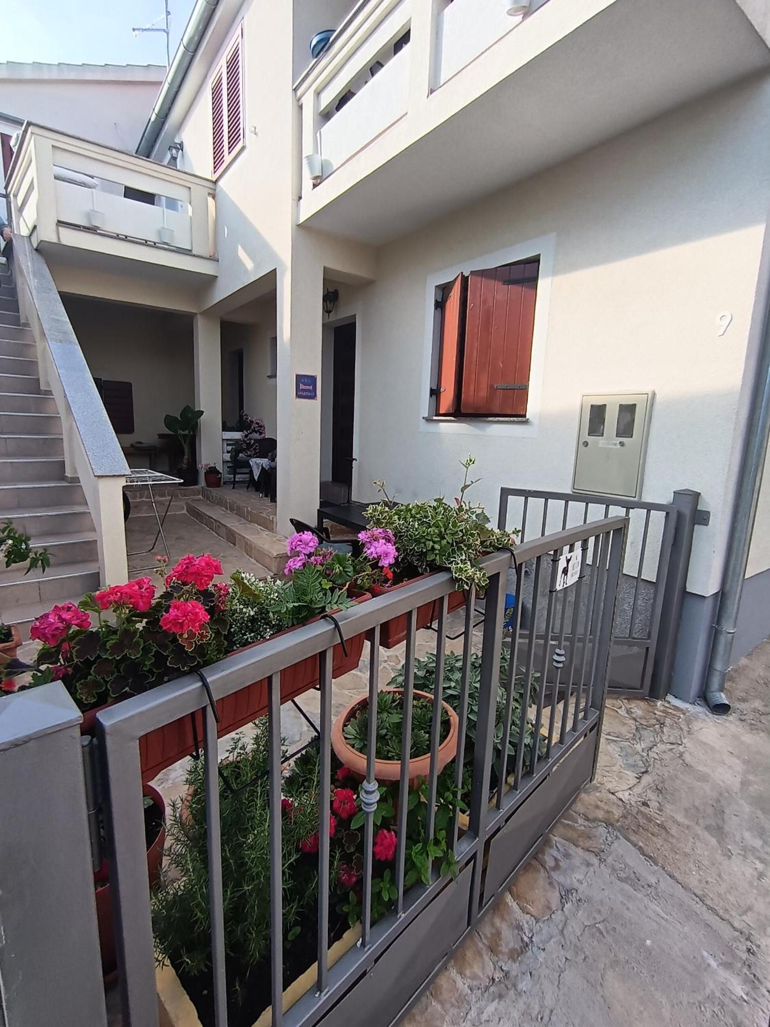 Apartment Dukic Sveti Filip i Jakov Exterior photo